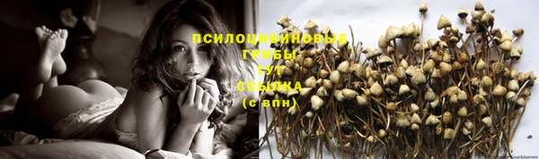 кокс Абдулино