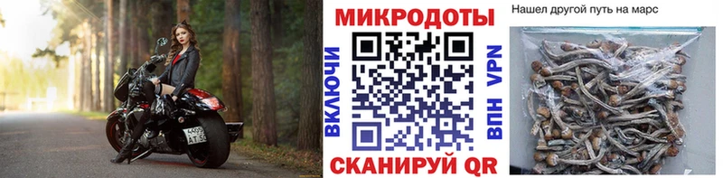 Галлюциногенные грибы GOLDEN TEACHER Южно-Сухокумск