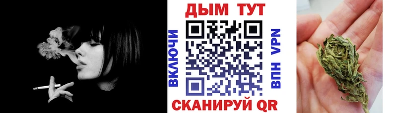 цена наркотик  Южно-Сухокумск  Шишки марихуана SATIVA & INDICA 